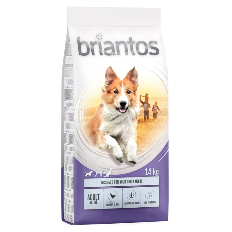 briantos Adult Active review