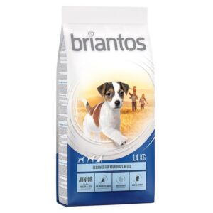 briantos Junior