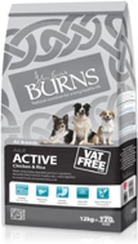 Burns Active review