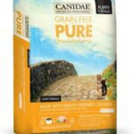 Canidae Pure Foundations Puppy Formula