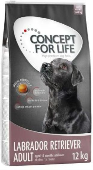 Concept for Life Labrador Retriever Adult review