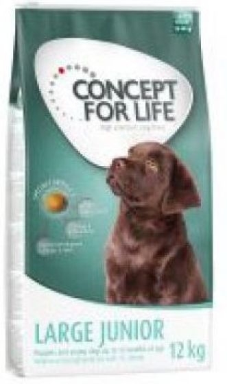 Concept For Life Large Breed Junior review