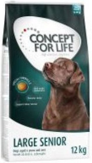 Concept For Life Large Breed Senior review
