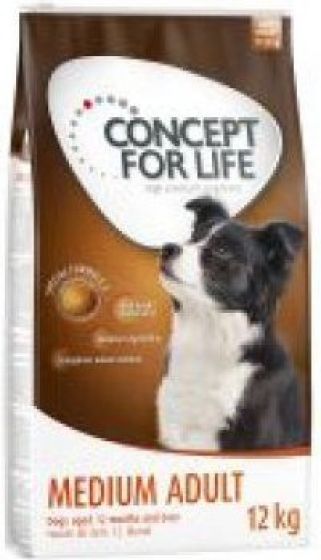 Concept For Life Medium Breed Adult review