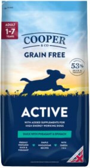 Cooper & Co Active review