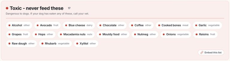 Dog food ingredients to avoid: the red-flag list