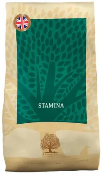 Essential Stamina review