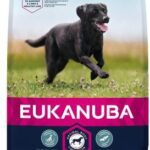 Eukanuba Active Adult Large Breed
