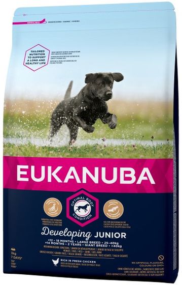 Eukanuba Developing Junior Large Breed review