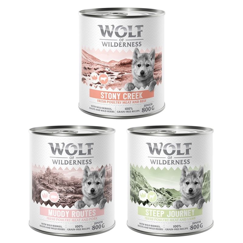 Wolf of Wilderness Junior “Expedition” review