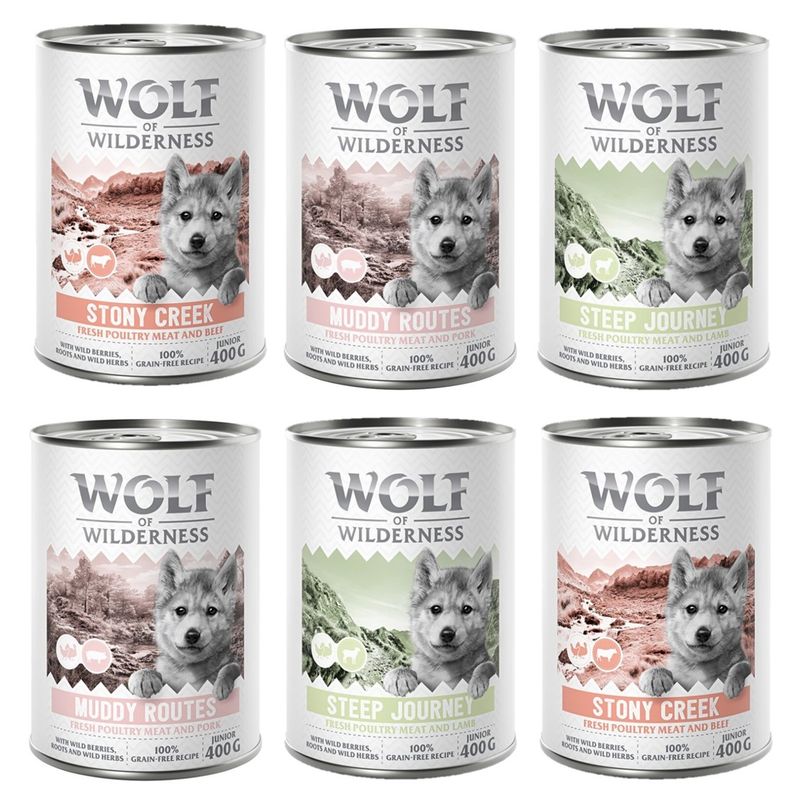 Wolf of Wilderness Junior “Expedition” review