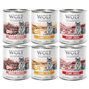 Wolf of Wilderness Senior ''Expedition''