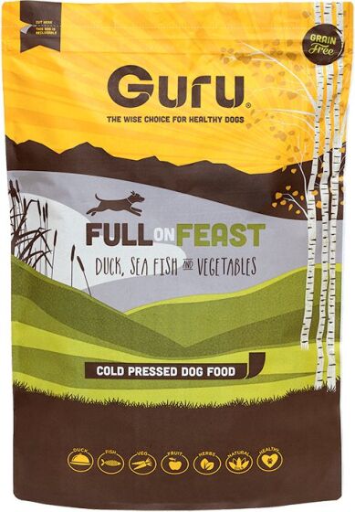 Guru Full On Feast review