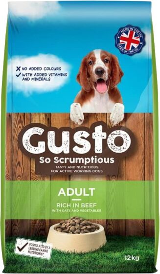 Gusto Adult review