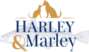 Harley logo