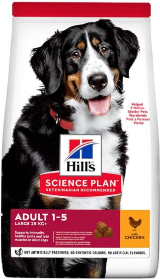 Hill’s Science Plan Adult 1-5 Large review