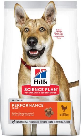 Hill’s Science Plan Adult 1+ Performance review