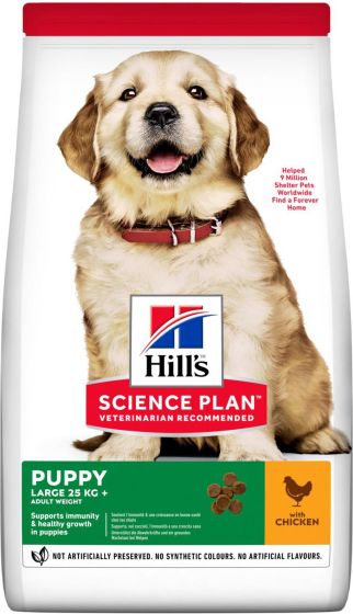 Hill’s Science Plan Puppy Large review