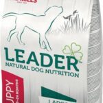 Leader Puppy Large Breed