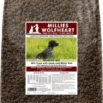 Millies Wolfheart Gundog Mix