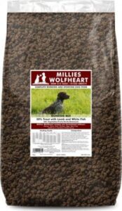 Millies Wolfheart Gundog Mix