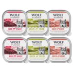Wolf of Wilderness Adult Classic