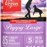 Orijen Puppy Large