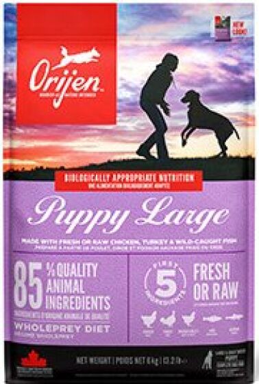 Orijen Puppy Large review