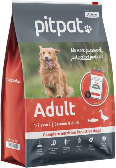 PitPat Adult Dry review
