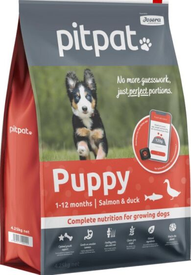 PitPat Puppy Dry review