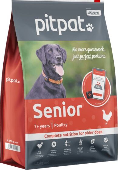 PitPat Senior Dry review