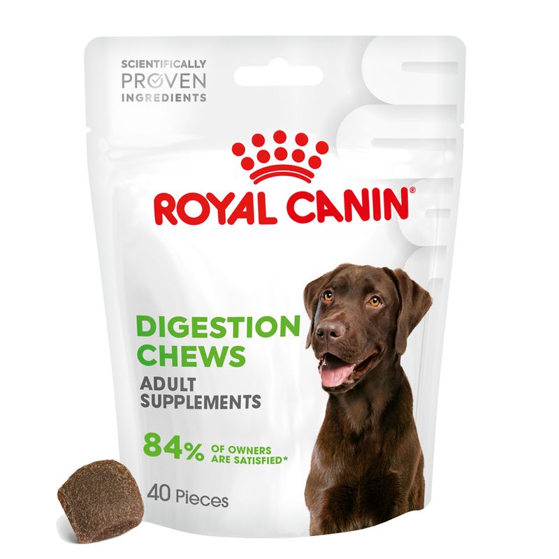 Royal Canin Digestion Adult Supplement Chews review