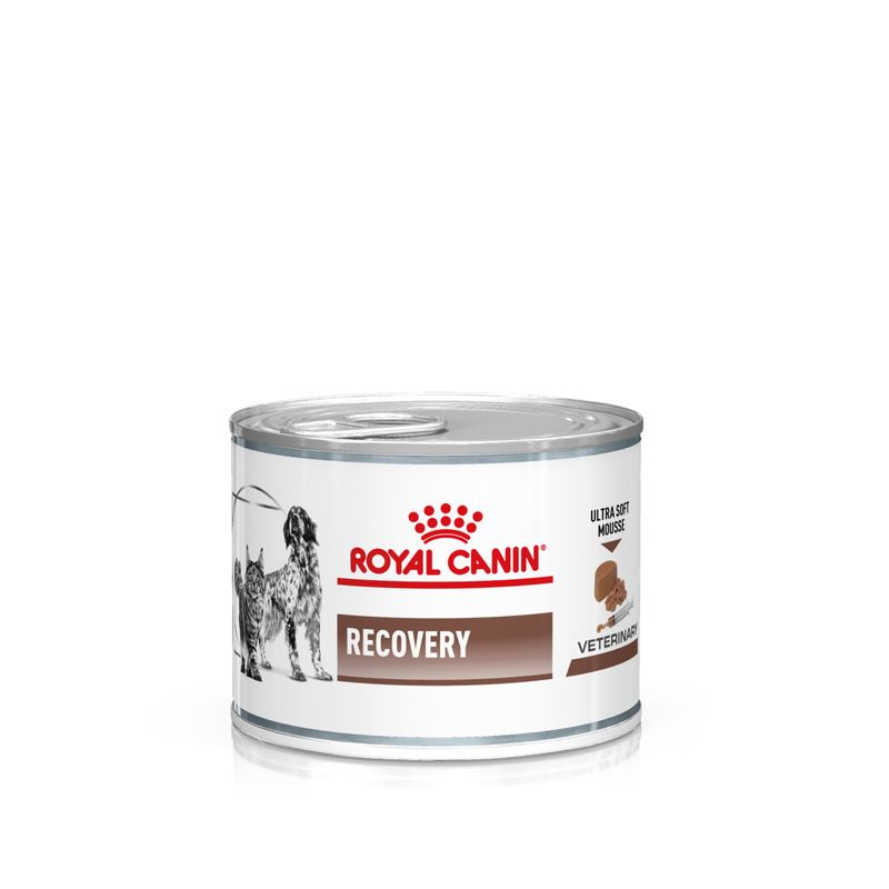 Royal Canin Veterinary Dog & Cat - Recovery Mousse review