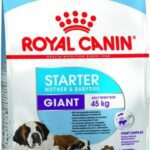 Royal Canin Giant Starter