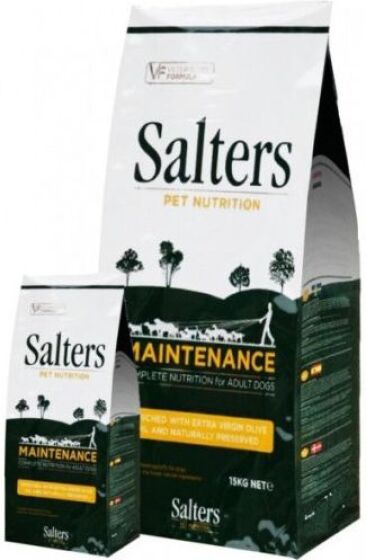 Salters Maintenance review