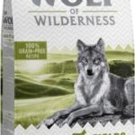 Wolf Of Wilderness Dry Senior