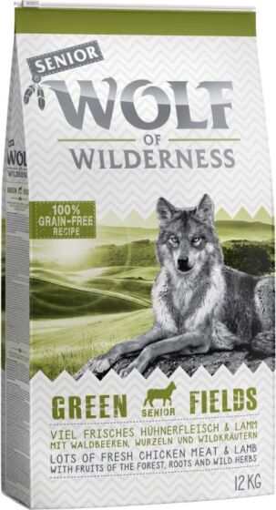 Wolf Of Wilderness Dry Senior review