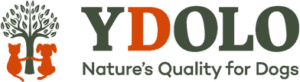 Ydolo logo