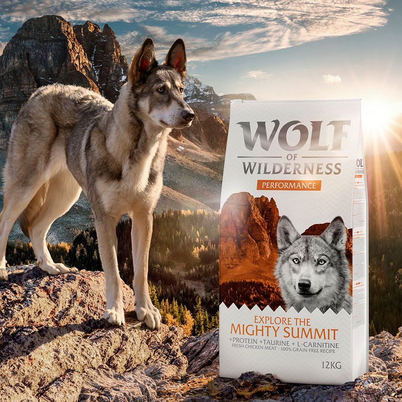 Wolf of Wilderness “Explore the Mighty Summit” Performance - Grain-Free review