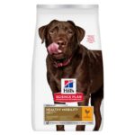 Hill's Healthy Mobility Adult 1+ Large with Chicken