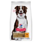 Hill's Healthy Mobility Adult 1+ Medium with Chicken