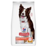 Hill's Perfect Digestion Adult 1+ Medium with Chicken & Brown Rice