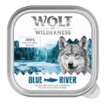 Wolf of Wilderness Adult