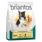 briantos Senior with Poultry & Rice