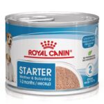 Royal Canin Starter Mousse Mother & Babydog