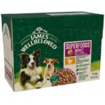 James Wellbeloved Adult Hypoallergenic Superfoods Pouches - Turkey in Gravy