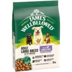 James Wellbeloved Adult Large Breed Hypoallergenic Lamb & Rice