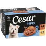 Cesar Puppy Trays