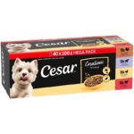 Cesar Pouches Creations in Sauce