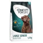 Concept for Life Large Senior